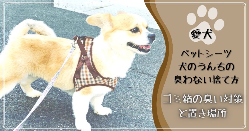 犬のにおい Mirai Trigger